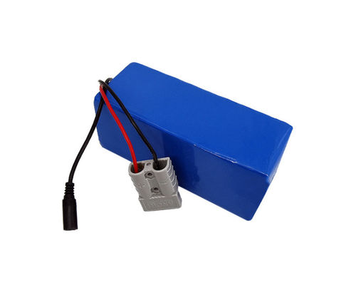 Lichte en langdurige 24V 30Ah E Bike Battery Pack met NMC Cells voor scooter