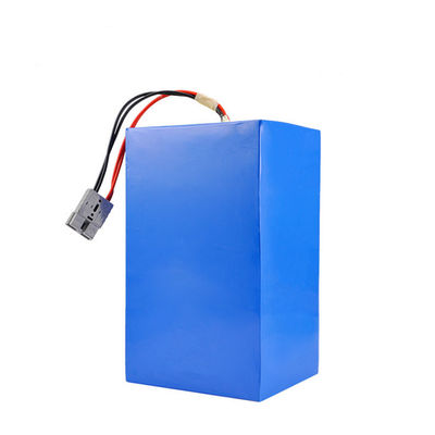 Balance Charge/Discharge Protection 48V 50Ah E Bike Battery Pack voor optimaal gebruik